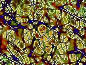 AUTISMO, TROPPE O POCHE CONNESSIONI NEL CERVELLO